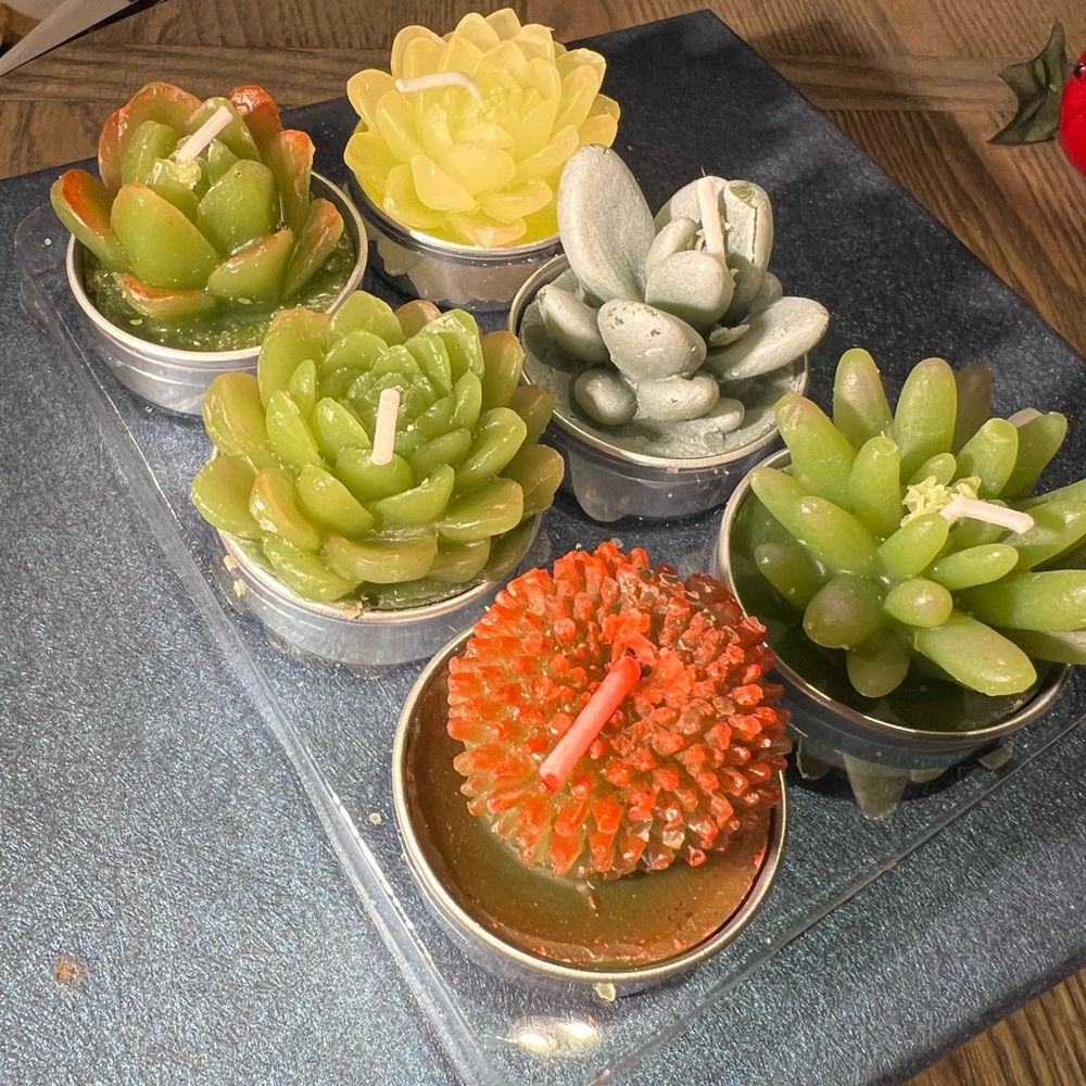 Succulent Candle Set - Green, Yellow, Orange